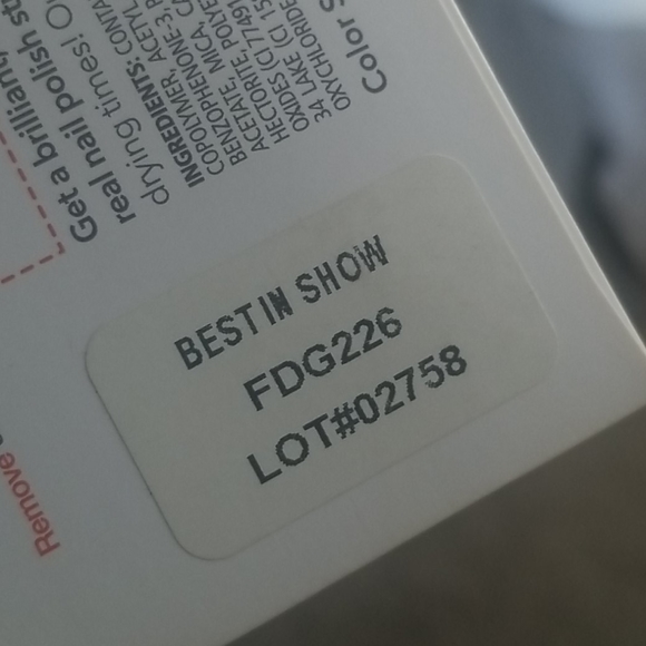 🏆 Best in Show 🏆 - Picture 5 of 11